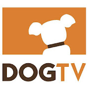 Top 10 Entertainment Apps Like DOGTV - Best Alternatives
