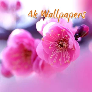 Pink Flower Wallpapers