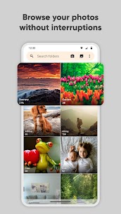 Simple Gallery Pro APK (Paid/Patched) 2