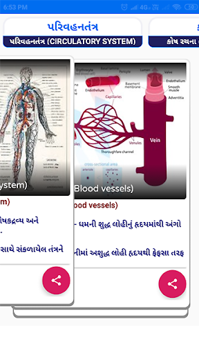 Gujarat Competitive Exams 2024 Screen 3