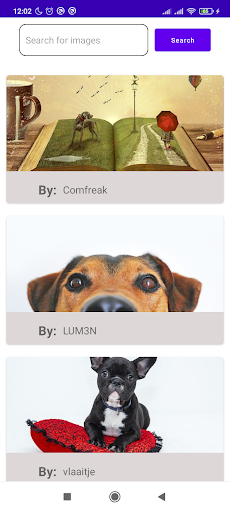 Pixabay Search Screen 3