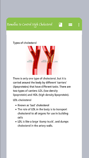 Remedies to Control High Chole