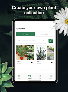 LeafSnap Plant Identification Screenshot