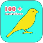 Cover Image of ดาวน์โหลด 100+ Canto de Pássaros HD 1.0 APK