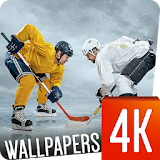 Hockey Wallpapers 4K icon
