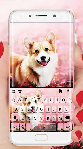 Android application Cute Corgi Keyboard Theme screenshort