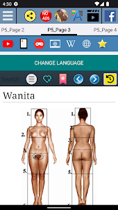 Anatomi Wanita