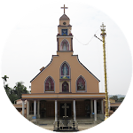 Cover Image of ダウンロード SACRED HEART CHURCH, PULPALLY  APK