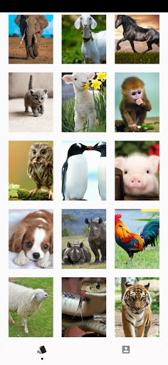 ✓ [Updated] BEST ANIMAL SOUND APP for PC / Mac / Windows 11,10,8,7 /  Android (Mod) Download (2023)