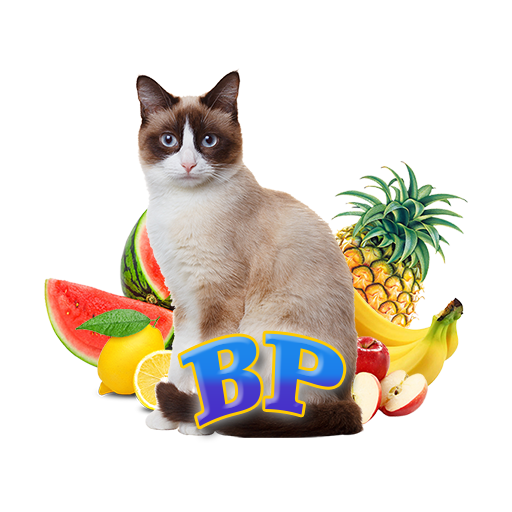 Balita Pintar 2 logo