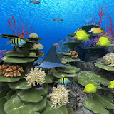 Coral Reef of Kerama icon