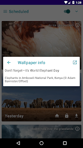 Daily Wallpapers Pro - Auto Ch