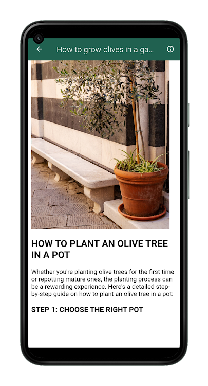How to Grow Olive Trees - 2.0.0 - (Android)