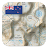 Download New Zealand Topo Maps APK for Windows
