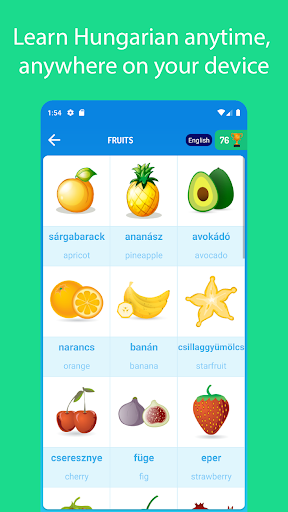 Android application Learn Hungarian For Beginners screenshort