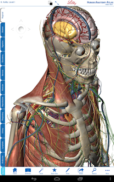 Human Anatomy Atlas for Lillyのおすすめ画像5