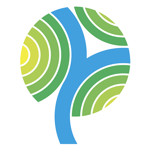 SMART Druzhkivka logo