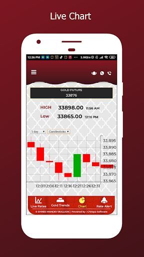 Shree Mandev Bullion LLP Screen 3