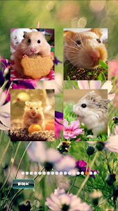 Hamster Pet Puzzles