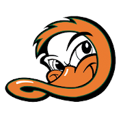 Long Island Ducks 2.0 Icon