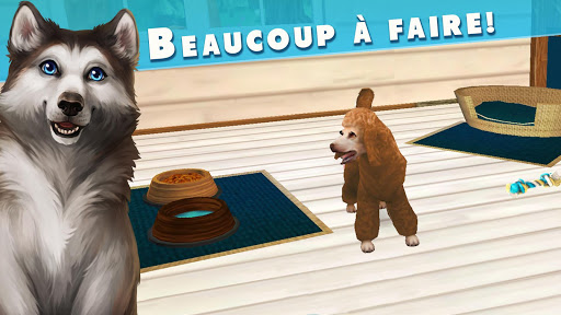 Télécharger Pet Hotel – Mon hôtel pour animaux mignons APK MOD (Astuce) screenshots 4