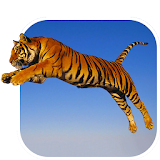 Tiger Live Wallpaper icon