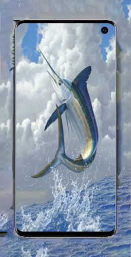 Fish Wallpaper HD-4K Screen 2