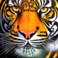 Tiger Simulator 2021 : Tiger Family Sim Tiger Game