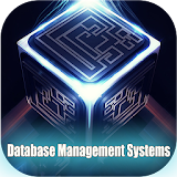 Database Management System icon