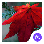 Top 49 Personalization Apps Like Maple leaf-APUS Launcher theme - Best Alternatives
