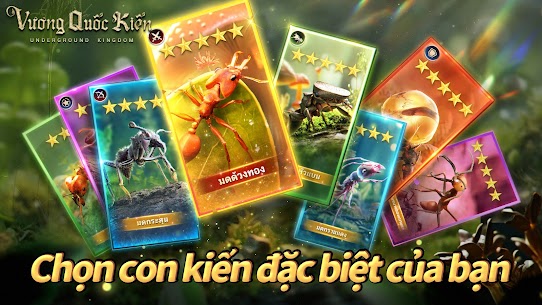 Vương Quốc Kiến – Gamota 2