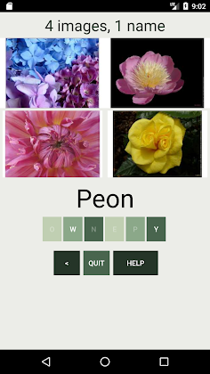 What Kind of Flower Are You ? - Screenshot 4