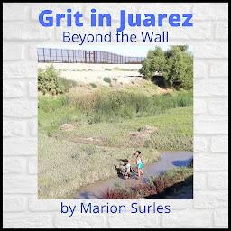 Icon image Grit in Juarez: Beyond the Wall