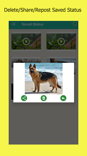 Quick Status Saver Screen 2
