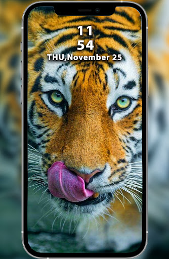 Tiger & Lion Wallpaper Screenshot 1 - AppWisp.com