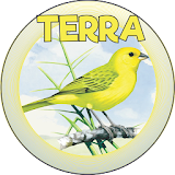 CANÁRIO DA TERRA icon