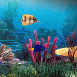 Fish Tank Live Wallpaper icon