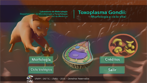 Android application ToxoplasmApp screenshort