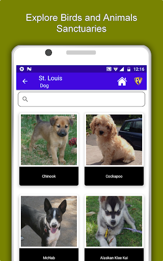 Screenshot of St. Louis Travel & Explore, Of
