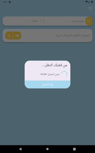 Bouhouthi - بحوثي