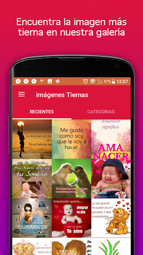 Vista previa de la aplicación