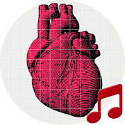 Human heart sounds ~ Sboard.pro