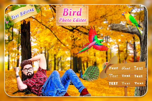 Birds Photo Editor