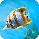 Aquarium Pocket Guide icon