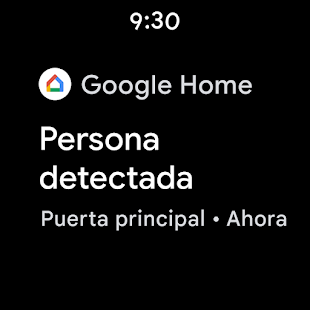 Google Home Screenshot