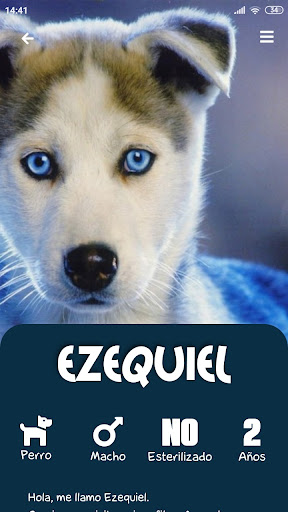 Android application Anymal screenshort