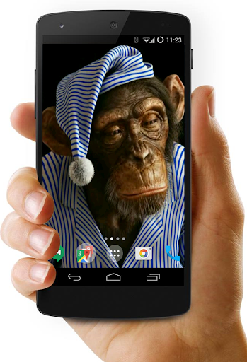 Android application Funny Monkeys Live Wallpaper screenshort