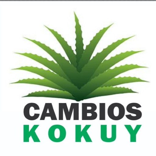Cambios Kokuy logo