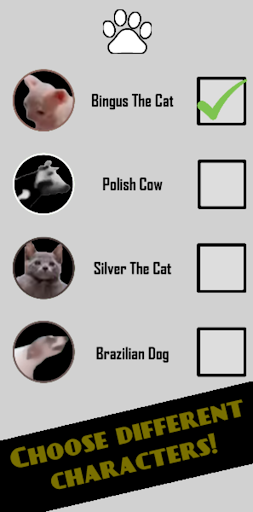 Cat Fest Screen 3