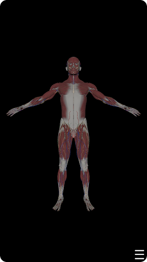 Android application 머슬매니악 :: 3D 해부학 screenshort